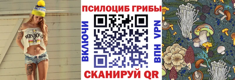 это официальный сайт  Игарка  Галлюциногенные грибы мицелий 