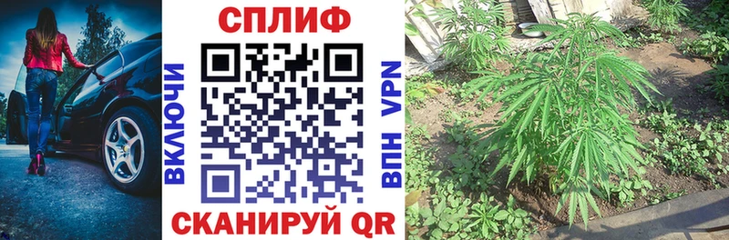 купить   Игарка  Канабис план 